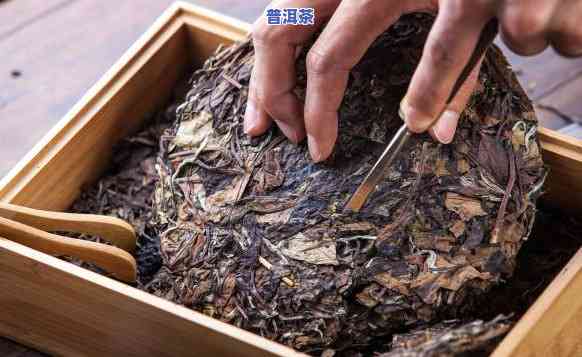 揭秘普洱茶代理的坑：知名代理条件与推荐