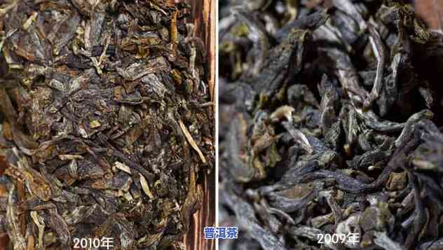 干旱普洱茶：口感提升还是品质下降？探讨其饮用风险与适宜条件