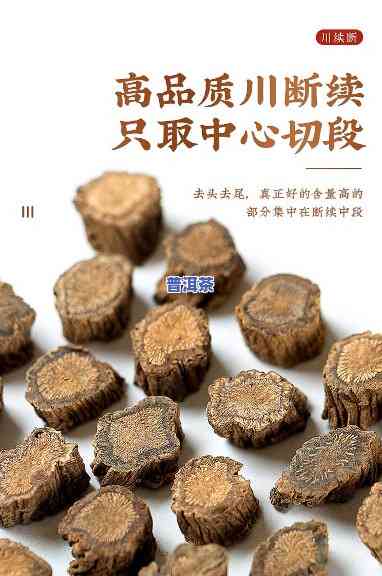 川断可以和普洱茶泡水喝吗-川断能经常泡水喝吗?