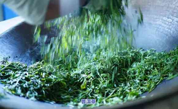 探究普洱茶手工制作与机器制作的区别及特点