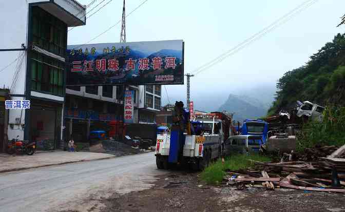 北京品质好的熟普洱茶招商-北京普洱茶店