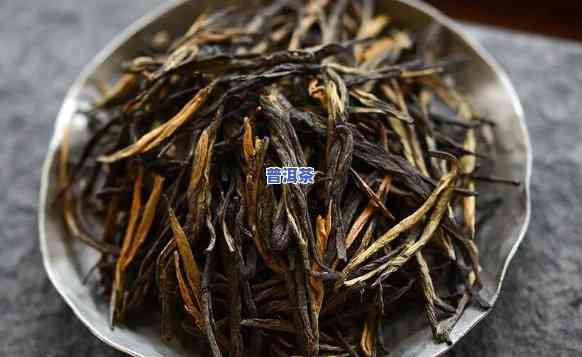 滇红老树茶：其类、品种及特点解析