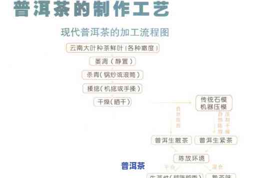 普洱茶制作工艺流程详解：几道工序组成？