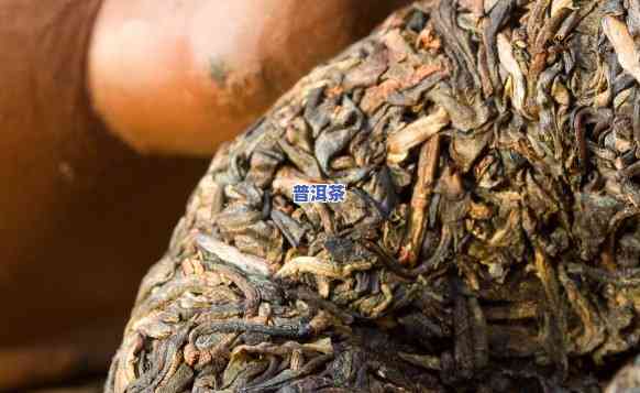 普洱茶生茶：超便宜？能喝？多少钱？