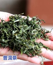 喝点普洱茶，享受健康生活：探索普洱茶的美妙世界