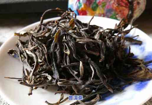 普洱茶生茶一斤多少钱合适-普洱茶生茶一斤多少钱合适呢