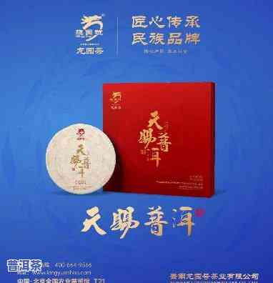 龙园号：普洱茶十大高端，致力于传承高品质普洱茶文化