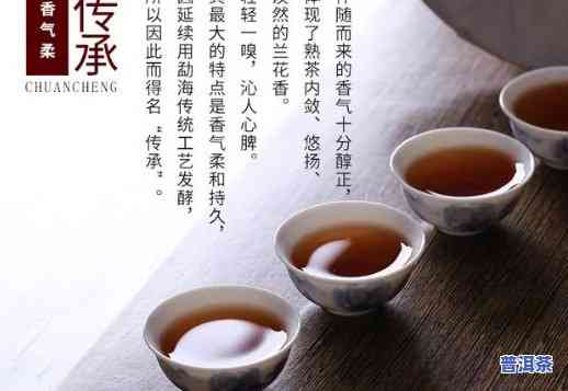 当普洱茶代理怎么样呢，探讨普洱茶代理的优缺点，你需要知道的一切