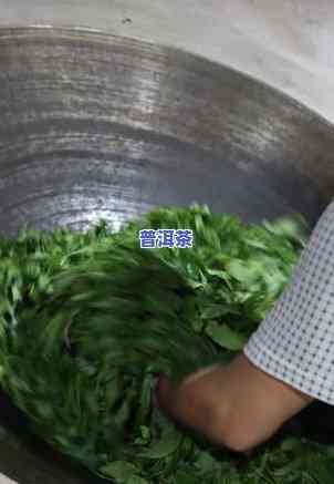 探究普洱茶基本工艺：制作流程与要点解析