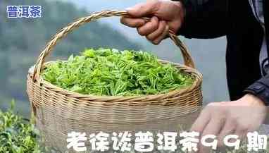 老徐讲普洱茶58期-普洱老茶讲堂