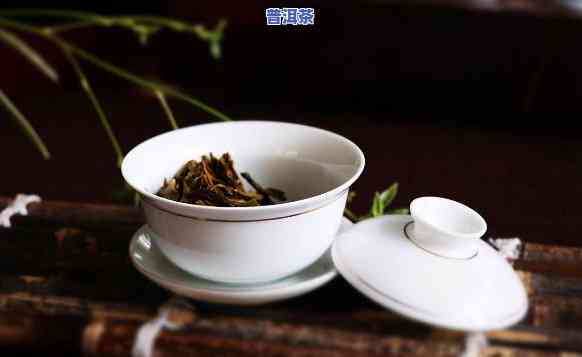 云南昆明普洱茶：探寻茶文化的源头与市场动态