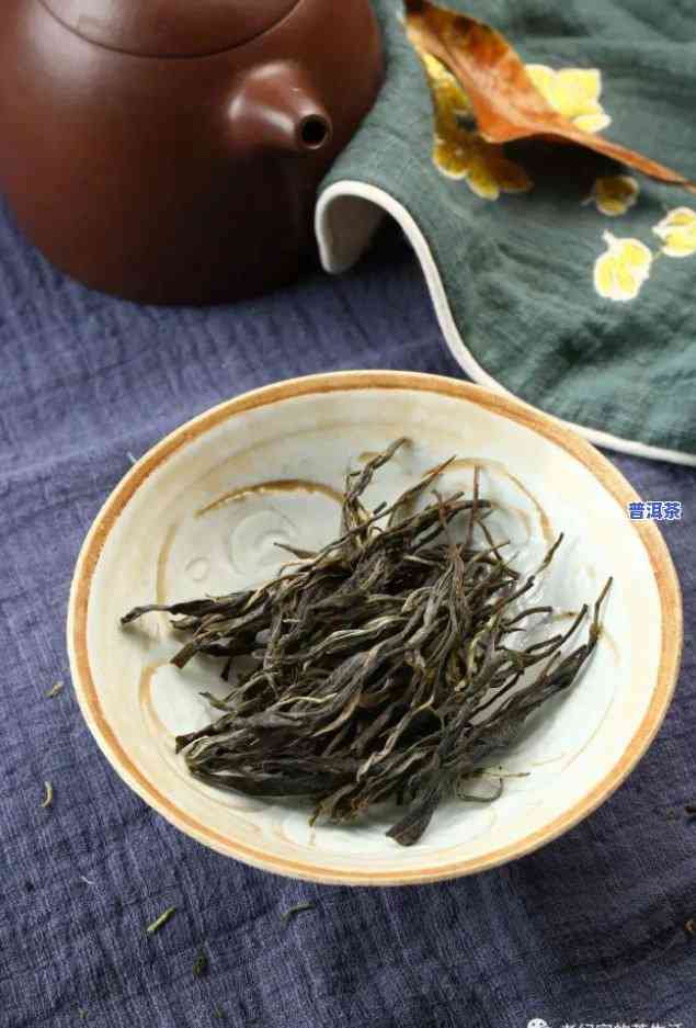 普洱茶直播视频教程大全：从入门到精通