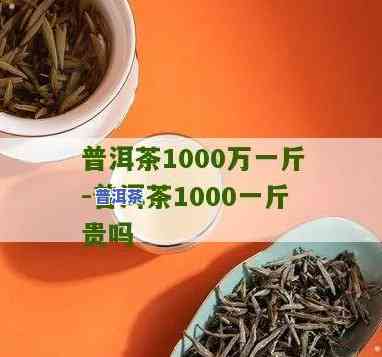 1千元一斤的普洱茶-1千元一斤的普洱茶是真的吗