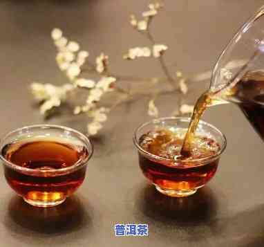 普洱茶过夜之后还能不能泡-普洱茶过夜之后还能不能泡茶