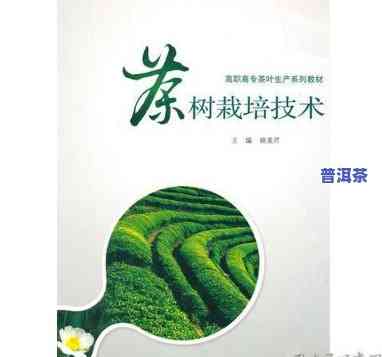 普洱茶生态种植技术与管理，探索绿色未来：普洱茶生态种植技术与管理研究