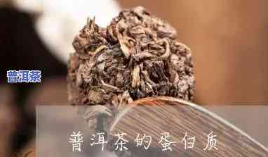 普洱茶含有蛋白质吗-普洱茶含有蛋白质吗百科