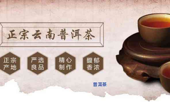 三明普洱茶渠道代理-三明普洱茶渠道代理电话