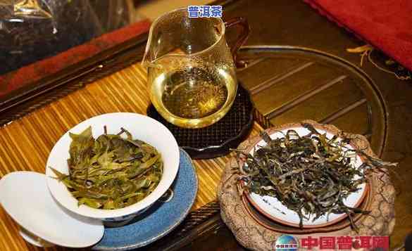 三明普洱茶渠道代理-三明普洱茶渠道代理电话