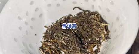 普洱茶泡几天能喝？是不是有？