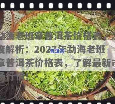 2023年最新08勐海普洱茶价格表及查询官网