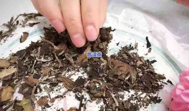 普洱茶碎茶叶能喝吗有吗图片，【解答】普洱茶碎茶叶可以饮用吗？是不是会有？附图片解析