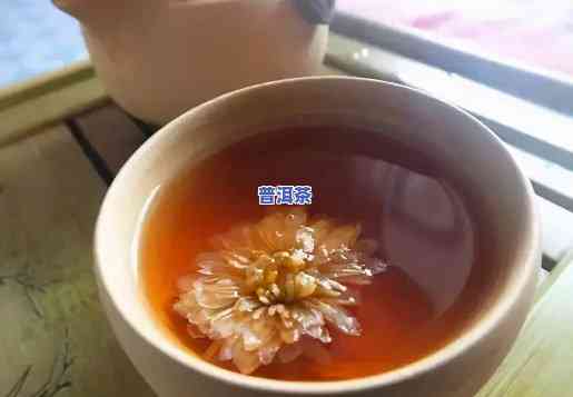 菊花普洱茶一起泡吗有吗可以喝吗，菊花普洱茶能否混搭冲泡？是不是有，是不是适合饮用？