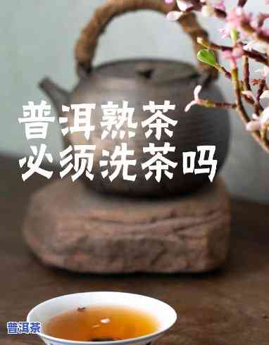 普洱茶需不需要先洗茶？起因与正确方法解析