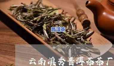 云南滇秀普洱茶茶厂招聘，滇秀普洱茶茶厂诚聘英才，共筑美好未来！