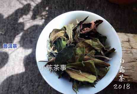 普洱茶和岩茶哪个劲大一点-普洱茶和岩茶哪个劲大一点呢