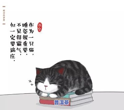 吾皇的普洱茶口感怎样？值得一试吗？价格多少？