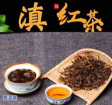 滇红红：古树红茶的代表品种