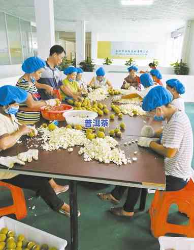 珠海普洱茶怎么代理加工，怎样代理加工珠海普洱茶？从入门到精通的全程解析！