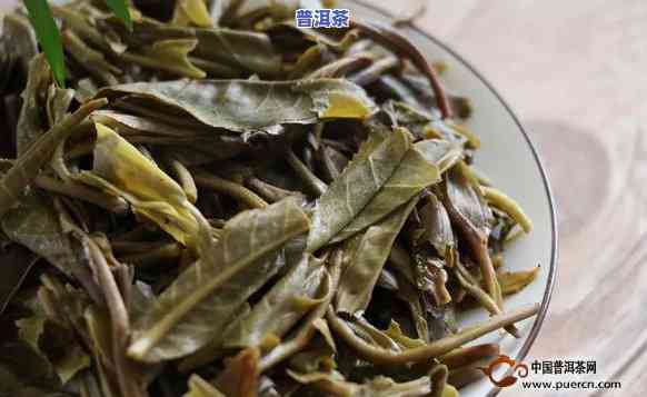 普洱茶的口感和分析-普洱茶的口感和分析怎么写