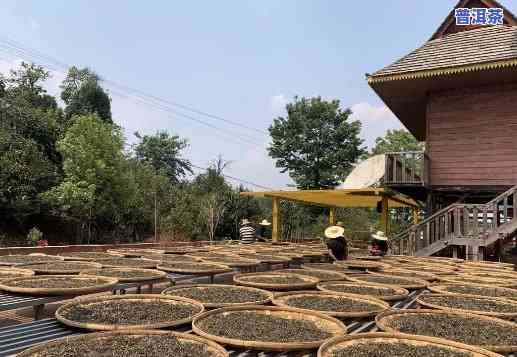 怀化哪里有收普洱茶的地方电话及地址？