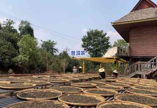 怀化哪里有收普洱茶的地方-怀化哪里有收普洱茶的地方啊