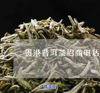 贵港普洱茶招商电话号码，寻找贵港普洱茶商机？拨打招商电话号码立即熟悉！