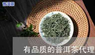 贵港普洱茶招商电话-贵港普洱茶招商电话号码