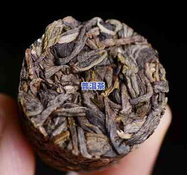 母树茶普洱茶(生茶)：保存方法与分类解析