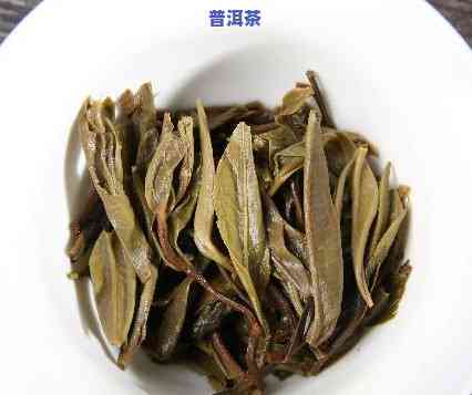 母树茶普洱茶(生茶)：保存方法与分类解析