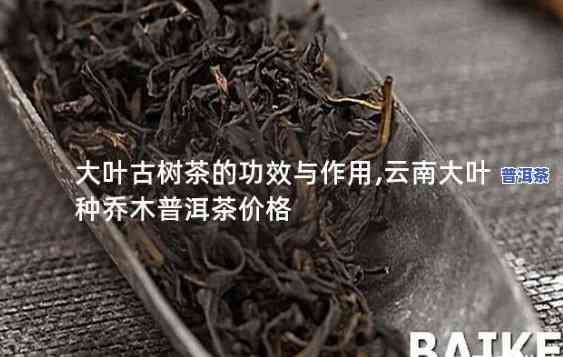 普洱茶大树茶的价格及年限介绍