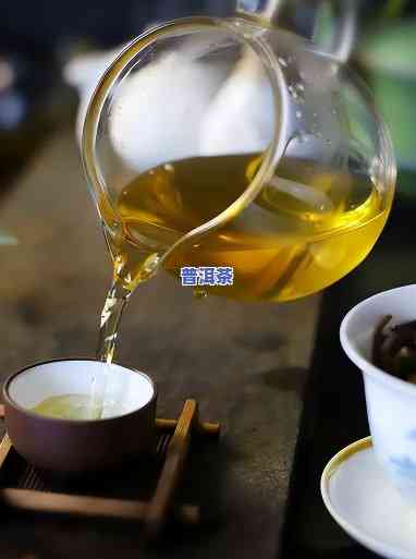 两种普洱茶一起泡吗能喝吗，探讨：两种普洱茶能否同时泡饮？