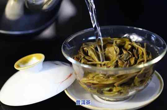 两种普洱茶一起泡吗能喝吗，探讨：两种普洱茶能否同时泡饮？