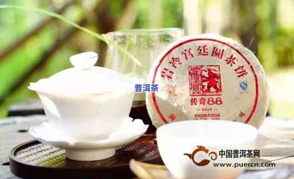 传奇88青普洱茶有人喝吗？价格及品质全解析