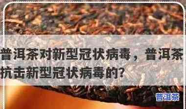 普洱茶能对抗新型病？科学解析其原理与功效