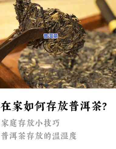 普洱茶的存储留意事项：环境、湿度、温度、容器等关键要素