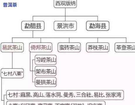 普洱茶各大山头的口味特色介绍，探秘普洱茶各大山头的特别口感与特色介绍