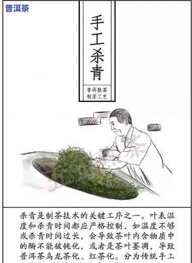 普洱茶熟茶加工工序详解：从原料到成品的过程