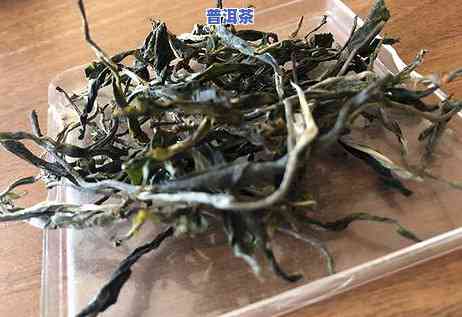 探析昔归普洱茶的口感特点及其特别之处