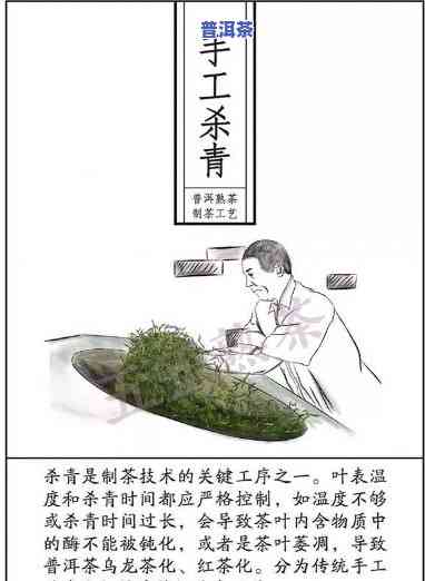 普洱熟茶的加工工艺是什么，深度解析：普洱熟茶的加工工艺全过程