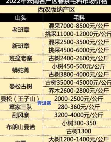 行天号金版纳普洱价格对比分析及购买指南